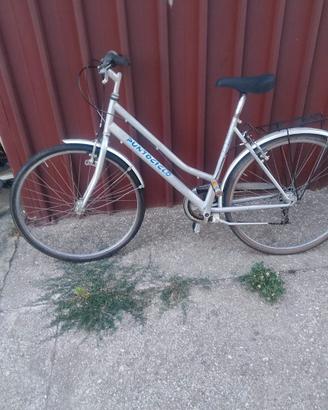 Bicicletta