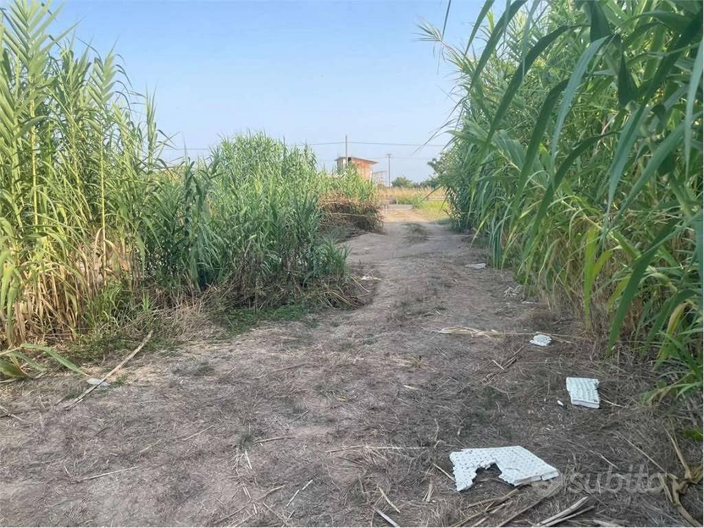 Terreno di 3650 m² a Mondragone - Vista 2