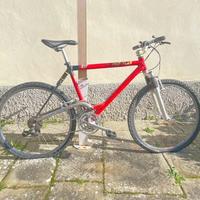 Mountain bike Proflex