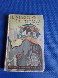 Il viaggio di Mimosa di Myriam Catalany 