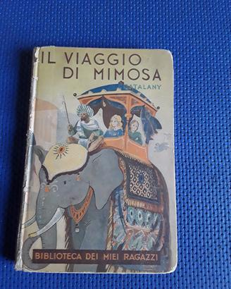 Il viaggio di Mimosa di Myriam Catalany 