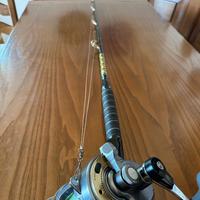 Canna Traina al Carbonio 50 lb e Mulinello Shimano