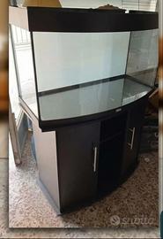 Acquario