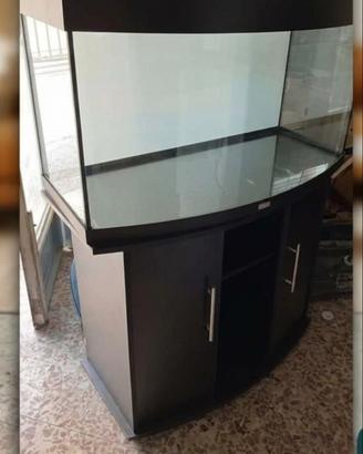 Acquario