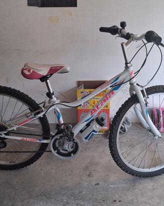 bicicletta
