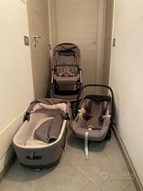 Trio inglesina aptica
