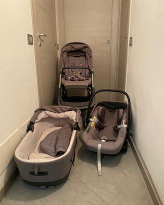 Trio inglesina aptica