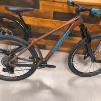 Santa cruz chamaleon c 29" M