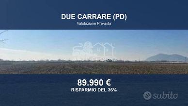 Immobile in asta di 20379 m² a Due Carrare