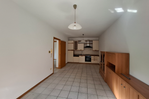 Appartamento 2 camere +garage