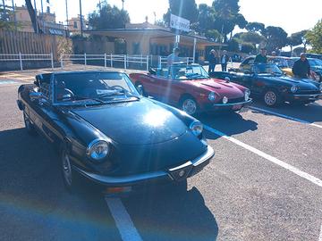 alfa romeo duetto 