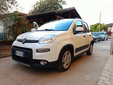 Panda hibryd  dicembre 2022