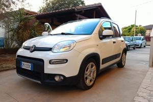Panda hibryd  dicembre 2022
