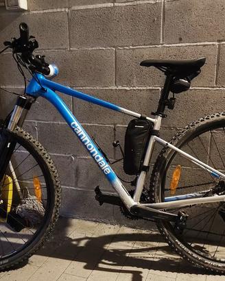 Cannondale Trail SL 4