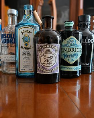 Bottiglie di gin vuote