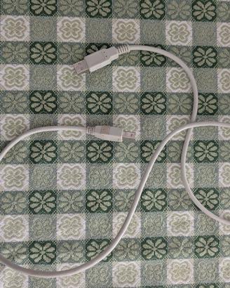 Cavo Stampante USB