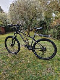 Rampichino usato tenuto bene