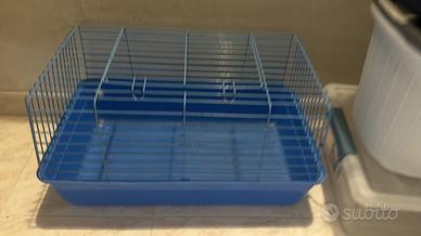 Gabbia per coniglio Reggio Calabria anche cavia