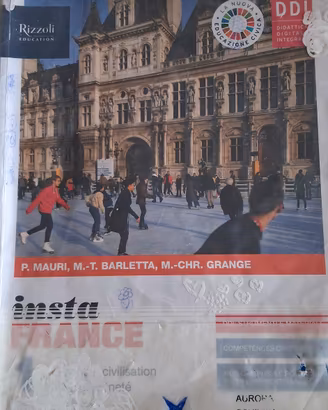 insta france 1