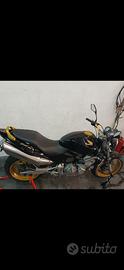 Honda hornet 600