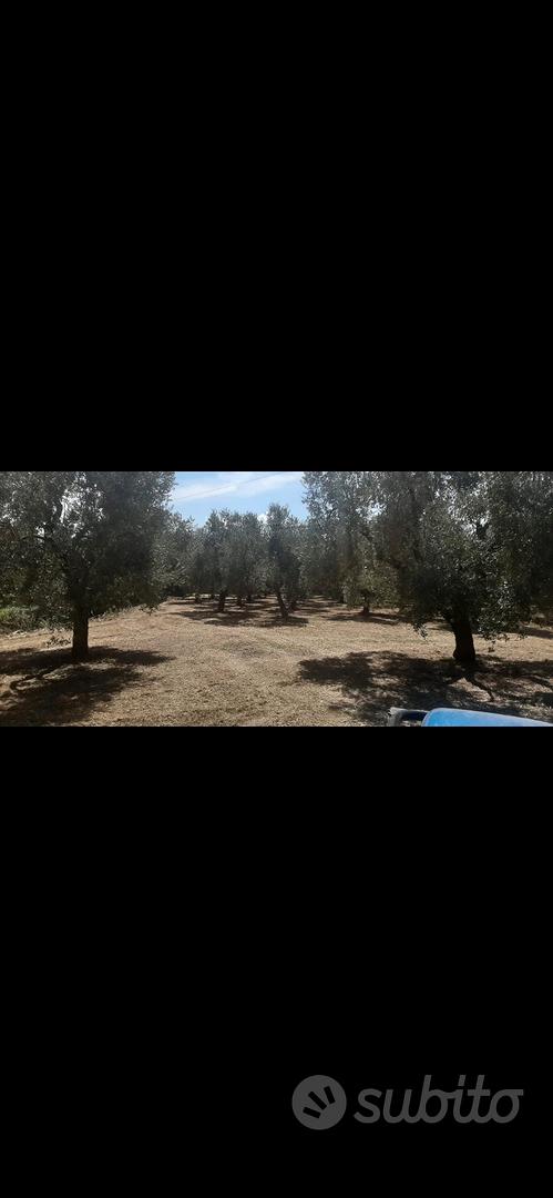 terreno con rustico - Vista 4