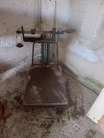 occorrente per fare il vino 