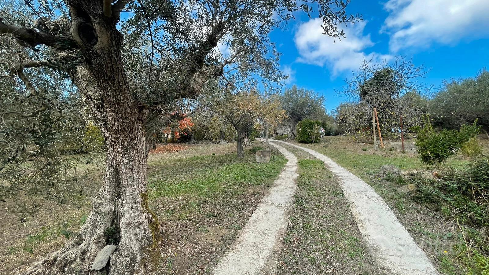 Rif.49 Terreno Agricolo e Magazzino Albano Laziale - Altro