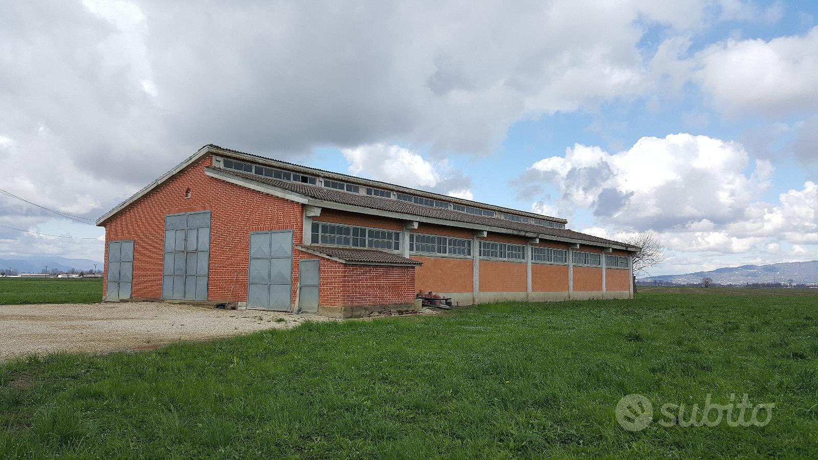 Cascinale (casa stalla tettoie deposito terreno) - Altro