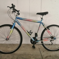Mountain bike