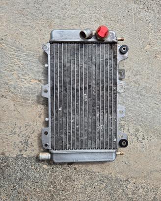 radiatore Gilera runner