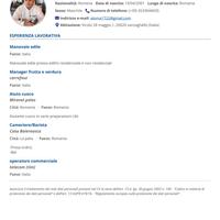 Lavapiatti , magazziniere , barista