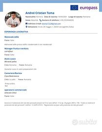 Lavapiatti , magazziniere , barista