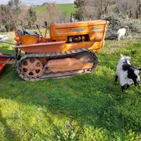 Trattore Fiat 455 cingolato