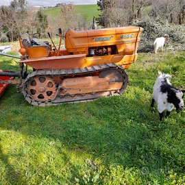 Trattore Fiat 455 cingolato