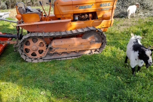 Trattore Fiat 455 cingolato