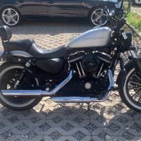 HarleyDavidson sportster iron