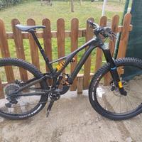 Mtb stumpjumper s works 2019