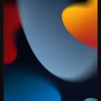 APPLE - iPad 10.2" Wifi+Cellular 64GB-Argento