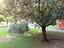 Immagine 22
