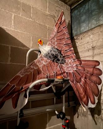 Aquilone a forma di aquila