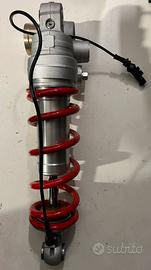 mono ammortizzatore originale BMW S 1000 RR