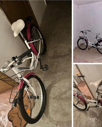 bicicletta 