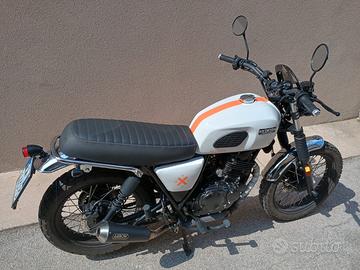 Brixton Cromwell 250 - 2021