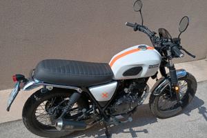 Brixton Cromwell 250 - 2021