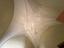 Immagine 19