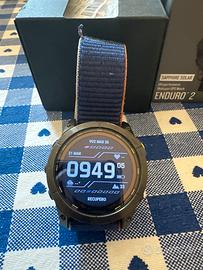 Garmin Enduro 2