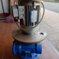 MOTORE ELETTRICO + RIDUTTORE