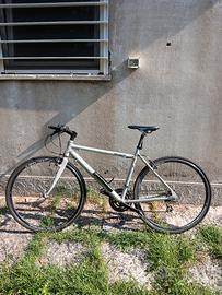 Cicli Adriatica Wing Boxter