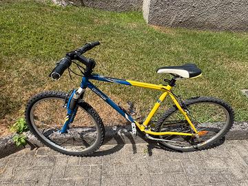Mountainbike Rockraider