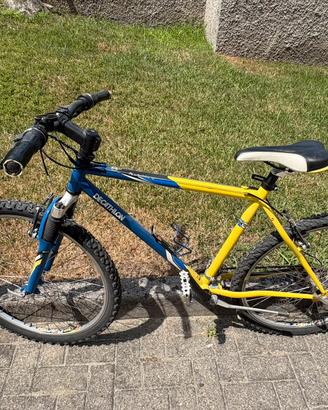 Mountainbike Rockraider